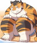 anthro beach biped blush clothing humanoid_hands male moobs overweight overweight_anthro overweight_male seaside sitting solo swimwear water ayame42612 felid mammal pantherine tiger