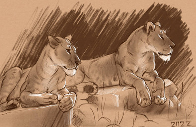 claws detailed_sketch duo female feral grass looking_aside paws plant quadruped rock spots alexpahomov felid lion mammal pantherine 2022 detailed digital_drawing_(artwork) digital_media_(artwork) sketch