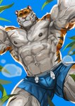 abs anthro biceps male muscular muscular_anthro muscular_male nipples pecs solo striped_body stripes vein veiny_muscles traver009 coach_ho felid mammal pantherine tiger hi_res