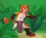 anthro clean_diaper clothed clothing diaper diaper_under_clothing male open_mouth outside simple_background solo topless topless_male wearing_diaper young young_anthro young_male iztli ailurid mammal red_panda 2022 hi_res signature