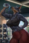 5_fingers anthro blue_body blue_fur bottle bottomwear breasts claws clothed clothed_anthro clothed_female clothing container day drinking ear_piercing eyes_closed female finger_claws fingers front_view fully_clothed fully_clothed_anthro fully_clothed_female fur gym hand_on_hip hand_on_own_hip holding_bottle holding_container holding_object inside navel piercing plant sky solo standing topwear tree window silgiriya_mantsugosi canid canine canis dobermann domestic_dog mammal pinscher 2025 digital_media_(artwork) hi_res