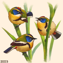 black_body black_feathers black_legs black_talons blue_body blue_eyes blue_feathers brown_wings feathers feral green_body green_feathers group markings multicolored_body multicolored_feathers on_plant perching red_markings simple_background tail tail_feathers trio white_background wings yellow_body yellow_feathers alexpahomov avian bird many-colored_rush_tyrant new_world_suboscine passerine suboscine tyrant_flycatcher 1:1 2025 digital_media_(artwork) digital_painting_(artwork) hi_res painting_(artwork)