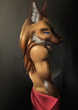 anthro biped blue_eyes breasts brown_body brown_fur cheek_tuft clothed clothing facial_tuft female fluffy fur glistening glistening_body glistening_eyes hair holding_object inviting light looking_at_viewer mane mane_hair orange_body orange_fur partially_clothed pointy_ears side_view simple_background solo standing tuft white_body white_fur hyacinth1971 canid canine mammal maned_wolf 2025 absurd_res colored digital_drawing_(artwork) digital_media_(artwork) half-length_portrait hi_res lighting portrait shaded signature
