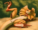 5_toes ambiguous_gender animal_genitalia anthro black_claws claws cloaca detailed_background digitigrade feet feral flat_chested freckles frill_(anatomy) genitals horizontal_cloaca looking_at_viewer lying membrane_(anatomy) membranous_frill neck_frill on_back on_ground orange_body orange_eyes orange_scales outside plant presenting presenting_cloaca scales shrub solo spread_legs spreading tail toe_claws toes yellow_body yellow_scales syrinoth agamid frilled_lizard lizard reptile scalie 2013 warm_colors