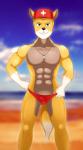 abs anthro balls beach bulge clothed clothing cocky detailed_bulge genital_outline genitals lifeguard male muscular muscular_anthro muscular_male pecs penis_outline seaside solo speedo standing swimwear buffbumblebee blake_gibson canid canine mammal absurd_res hi_res source_request