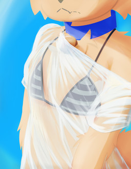 anthro beach bell bikini bikini_top clothing collar femboy kemono male shota solo swimwear translucent translucent_clothing two-piece_swimsuit young kecuxa canid canine fox mammal hi_res