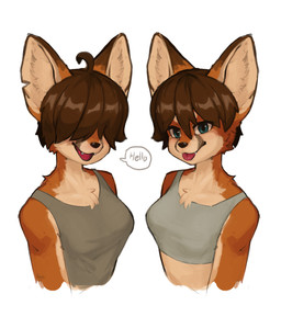 ahoge anthro blep breasts brown_hair chest_tuft clothed clothing duo female fur fur_tuft grey_clothing grey_topwear hair hair_over_eyes looking_at_viewer multicolored_body multicolored_fur open_mouth orange_body orange_fur speech_bubble tan_body tan_fur teeth text tongue tongue_out topwear tuft color_fox canid canine fox mammal english_text hi_res sibling_(lore) twins_(lore)