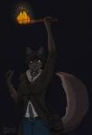 anthro black_hair brown_body brown_fur clothed clothing collar female fully_clothed fur grey_body grey_fur hair holding_object holding_torch long_hair navel solo torch yellow_eyes alibiwolf adena canid canine canis mammal wolf 2017 absurd_res hi_res smaller_version_at_source