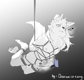 4_toes ambiguous_anthro ambiguous_gender ankles_tied anthro areola arms_tied balls bandaged_hand bdsm blush blush_lines bodily_fluids bondage bound claws crossed_legs disembodied_hand duo erection eyebrows feet finger_claws fingerpads fingers fondling fondling_penis foreskin fully_bound genital_fluids genitals gradient_background hair hands_behind_back hindpaw hogtied humanoid_genitalia humanoid_hands humanoid_penis id_card iris legs_tied long_hair male male/ambiguous male_anthro mostly_offscreen_anthro mostly_offscreen_character mostly_offscreen_male nipples nude nude_anthro nude_male parted_lips pawpads paws penis precum pupils restraints retracted_foreskin rope rope_bondage rope_harness simple_background slim slim_anthro slim_male solo_focus suspension suspension_bondage tail text three-quarter_view toe_claws toes qianweiertang canid canine mammal artist_name full-length_portrait greyscale hi_res monochrome portrait
