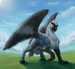 animal_genitalia balls beak claws feathers feral genitals hooves male sheath solo wings thejoyfuldragon european_mythology greek_mythology mythology decker_o'reilly avian hippogriff mythological_avian mythological_creature hi_res