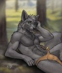 anthro black_nose bottomwear bulge clothed clothing detailed_bulge forest fur grey_body grey_fur loincloth male outside plant smile solo tree tribal sunitai pyndan canid canine canis mammal wolf hi_res