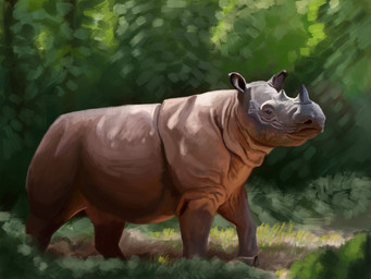 abstract_background feral forest grass grey_body grey_skin horn plant quadruped solo tree walking wrinkles agustindiazart mammal rhinoceros sumatran_rhinoceros 2021 4:3 hi_res painting_(artwork)