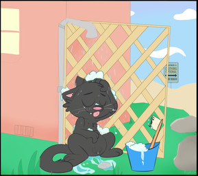 anthro balls black_border border brush exhibitionism genitals male nature nude nude_beach penis shower soap solo text avoid_posting kippykat kipp_(kippykat) domestic_cat felid feline felis mammal absurd_res english_text hi_res