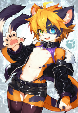2_tails adolescent ahoge anthro bulge clothed clothing collar cute_fangs fangs fingers fur hair heterochromia kemono legwear male male_anthro midriff multi_tail multicolored_body multicolored_fur navel nipples open_mouth pawpads paws raised_clothing raised_topwear solo tail teeth thigh_highs tight_clothing tongue topwear whiskers young young_anthro young_male kemorate calico_cat domestic_cat felid feline felis mammal 2026 digital_media_(artwork)