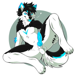 animal_genitalia animal_penis anthro arm_tuft ball_tuft balls black_body black_claws black_ears black_fur black_hair black_nose blep blue_ears blue_eyes blue_markings blue_penis blue_tongue canine_genitalia canine_penis cheek_tuft chest_tuft claws dipstick_ears ear_markings elbow_tuft erection facial_tuft fangs fur genitals glistening glistening_eyes glistening_nose hair inner_ear_fluff knot male markings mouth_closed multicolored_ears narrowed_eyes neck_tuft nude penis retracted_sheath sheath short_hair simple_background solo spread_legs spreading teeth tongue tongue_out tuft unsigned white_balls white_body white_fur white_inner_ear_fluff white_sheath princelykaden canid canine canis mammal full-length_portrait hi_res portrait