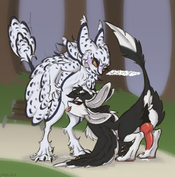 3_fingers 3_toes 4_ears 4_toes animal_genitalia animal_penis anthro anthro_on_feral anus ass_up bench bestiality big_ears big_penis big_tail biped black_body black_claws black_feathers black_finger_claws black_fur black_genitals black_hair black_sclera black_toe_claws blush blush_lines blushing_profusely bodily_fluids butt canine_genitalia chest_tuft claws clenched_teeth cloaca cloaca_juice cloacal cloacalingus countershade_face countershading cunnilingus day dialogue digitigrade dominant dominant_female dominant_intersex dominant_maleherm dripping duo ellipsis embarrassed erection facial_tuft feathered_wings feathers feet female female_anthro feral finger_claws fingers fluffy fluffy_legs forest fur genital_fluids genital_slit genitals grabbing grass hair hand_on_head head_grab herm intersex intersex/female intraspecies intraspecies_bestiality intravaginal_penis knot knotted_penis knotted_tapering_penis leaking leaking_precum long_tail looking_at_another looking_down maleherm maleherm/female markings monotone_genitals monotone_penis motion_lines multi_ear multicolored_body multicolored_feathers narrowed_eyes nature nature_background nude nude_anthro open_mouth oral oral_penetration outside park pawpads paws penetration penile penis pink_genitals pink_pawpads pink_penis pink_tongue plant precum precum_drip public public_sex puffy_anus purple_eyes quadruped questionable_consent raised_tail red_genitals red_penis saliva saliva_on_tongue service_height sex sexual_assault shaking side_view simple_background size_difference smile smug speech_bubble spots spotted_body spreading standing standing_sex submissive submissive_anthro submissive_female surprised tail tail_tuft talking_to_another talons tapering_penis teeth text throbbing throbbing_penis toe_claws toes tongue tongue_out tree trembling tuft vaginal vaginal_fluid_drip vaginal_fluids vulva white_body white_feathers white_fur winged_arms wings yellow_eyes pysiss fyr_(fenrir784) avali avian bird horned_owl hybrid owl snowy_owl true_owl 2026 artist_name colored colored_sketch digital_drawing_(artwork) digital_media_(artwork) english_text hi_res signature sketch