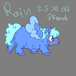 ambiguous_feral ambiguous_gender blue_body blue_eyes blue_fur blue_hair blue_tail blue_wing feathered_wings feathers feral fur grey_background hair hooves monotone_body monotone_fur neutral_expression open_mouth purple_hooves side_view simple_background solo stated_age tail text wings young young_ambiguous young_feral whenthemoonhitsyoureye fluffy_pony rain_(whenthemoonhitsyoureye) fluffy_pony_(species) mammal 1:1 2025 character_name digital_media_(artwork) english_text flat_colors female_(lore)