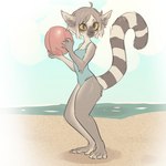 anthro arm_tuft ball beach beach_ball blue_clothing blue_swimwear breasts circle_eyebrows cleavage clothed clothed_anthro clothed_female clothing elbow_tuft eyebrows feet female female_anthro fingers fur grey_body grey_ears grey_fur grey_hair hair holding_ball holding_beach_ball holding_object inflatable markings mouth_closed one-piece_swimsuit outside ring_(marking) ringed_tail sand seaside sky small_breasts solo standing striped_markings striped_tail stripes swimwear tail tail_markings three-quarter_view toes tuft yellow_sclera tateoftot lemur mammal primate ring-tailed_lemur strepsirrhine 1:1 2024 digital_drawing_(artwork) digital_media_(artwork) full-length_portrait hi_res portrait