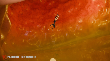acid anthro fatal_vore male micro nude organs stomach vore monarquis romy_(monarquis) domestic_cat felid feline felis mammal 16:9 3d_(artwork) digital_media_(artwork) hi_res widescreen