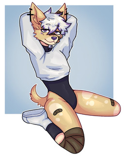 anthro band-aid band-aid_on_ear band-aid_on_face band-aid_on_leg bandage bandage_on_face bandage_on_knee black_clothing black_leotard clothed clothed_anthro clothed_male clothing cross cross_ear_piercing cross_piercing ear_piercing eyebrows footwear fur hair hands_behind_head kneeling leotard looking_at_viewer male markings multicolored_body multicolored_hair navel outline piercing purple_eyes purple_hair purple_markings purple_nose shoes simple_background socks solo spots spotted_body spotted_fur spotted_legs spotted_thighs sweater tail tan_body topwear white_clothing white_hair white_sweater white_topwear dillpickle_9559 spiritu_nogales canid canine canis chihuahua domestic_dog mammal toy_dog 2026 hi_res shaded