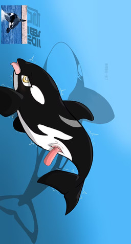 duo female feral genitals male male/female penetration penile penile_penetration penis penis_in_vagina shaking text trembling vaginal vaginal_penetration vulva anonymous_artist aquatic cetacean dolphin mammal oceanic_dolphin orca toothed_whale whale chinese_text hi_res