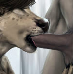 2013 2d_animation anakuro animated anthro anthro_on_anthro anthro_penetrated anthro_penetrating anthro_penetrating_anthro ball_fondling balls body_part_in_mouth claws danny_(anakuro) david_(anakuro) deer digital_media_(artwork) duo dynx erection eyes_closed felid feline fellatio femboy flash_conversion fondling freckles genitals hair high_framerate humanoid_genitalia humanoid_penis hybrid licking loop lynx male male/male male_penetrated male_penetrating male_penetrating_male mammal motion_tweening no_sound oral oral_only oral_penetration paperdoll_animation penetration penile penile_penetration penis penis_in_mouth sex short_playtime spots third-party_edit tongue tongue_out unfinished vein webm whiskers