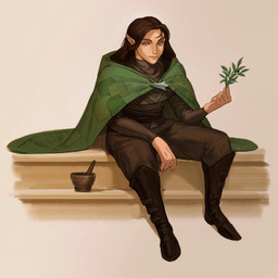 bottomwear brown_bottomwear brown_clothing brown_hair brown_topwear cape clothed clothing female female_humanoid front_view green_cape green_clothing hair humanoid_pointy_ears long_hair looking_at_viewer mouth_closed narrowed_eyes pointy_ears sitting solo topwear edvardiko humanoid 1:1 hi_res