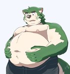 anthro belly blush canid canine canis clothed clothing domestic_dog eyebrows fur green_body green_fur hi_res lifewonders live_a_hero male mammal mokdai navel nipples overweight pecs solo thick_eyebrows topless toto3_official
