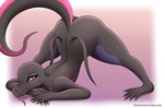 anthro ass_up bedroom_eyes big_butt blush butt claws crouching curvy_figure feet female flat_chested jack-o'_pose looking_at_viewer narrowed_eyes nude pose purple_eyes raised_tail seductive simple_background solo spread_legs spreading tail tongue tongue_out wide_hips diamondstorm nintendo pokemon generation_7_pokemon pokemon_(species) reptile salazzle scalie hi_res