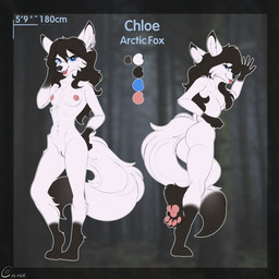 breasts butt female genitals nipples pawpads paws slim solo standing vulva conrie canid canine fox mammal 1:1 absurd_res hi_res model_sheet