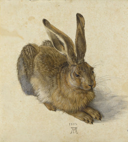ambiguous_feral ambiguous_gender brown_body brown_eyes brown_fur claws feral fur long_ears no_sclera nude quadruped realistic solo toe_claws whiskers albrecht_durer public_domain european_hare hare lagomorph leporid mammal 1502 16th_century absurd_res ancient_art dated detailed formal_art gouache_(artwork) hi_res painting_(artwork) signature traditional_media_(artwork) traditional_painting_(artwork) traditional_watercolor_(artwork) watercolor_(artwork)