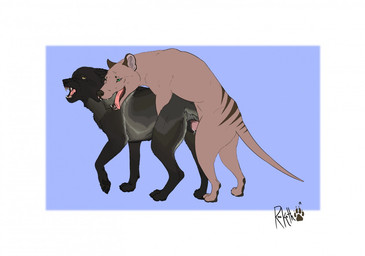 angry animal_genitalia animal_penis animal_vulva bared_teeth black_body black_fur blue_background bodily_fluids border canine_genitalia canine_vulva cum doggystyle duo ears_back fangs female female_penetrated feral feral_on_feral feral_penetrated feral_penetrating feral_penetrating_feral from_behind_position fur genital_fluids genitals green_eyes grey_body grey_fur interspecies leaking_cum male male/female male_penetrating male_penetrating_female multicolored_body multicolored_fur open_mouth paws penetration penile penile_penetration penis penis_in_vagina pivoted_ears raised_paw rounded_back sex simple_background snarling striped_body stripes tail tapering_tail teeth tongue tongue_out two_tone_body two_tone_fur vaginal vaginal_penetration vulva white_border yellow_eyes raukoth_(artist) raukoth thylus canid canine canis dasyuromorph mammal marsupial recently_extinct_species thylacine wolf