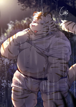 anthro band-aid bandage belly big_belly bulge clothing humanoid_hands kemono male moobs night nipples outside overweight overweight_male raining shirt solo tongue tongue_out topwear underwear wet wet_clothing wet_shirt wet_topwear white_body cai_yuwang felid mammal pantherine tiger 2022