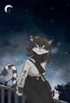 ambiguous_gender anthro anthro_focus black_hair blush breasts clothing dress duo eyes_closed female female_focus fence feral hair looking_at_viewer moon night open_mouth outside smile solo_focus star dogpig28472 ambient_cat domestic_cat felid feline felis mammal 2020 absurd_res hi_res