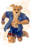 anthro bottomwear clothing gradient_background jacket looking_at_viewer male muscular muscular_anthro running shorts simple_background smile solo teeth topwear triangle_(shape) white_background wristband leo-artis road_rovers hunter_(road_rovers) bird_dog canid canine canis domestic_dog hunting_dog labrador mammal retriever 2022 absurd_res hi_res