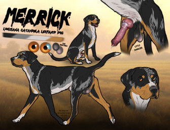 animal_genitalia animal_penis anus balls black_body black_fur black_nose black_tail blue_eyes canine_genitalia canine_penis detailed_background dipstick_tail erection feral floppy_ears fur genitals grey_body grey_fur knot knotted_penis lipsticking looking_at_viewer male male_feral markings mouth_closed multicolored_eyes offset_balls open_mouth orange_body orange_eyes orange_fur penis penis_tip quadruped realistic realistic_feral red_penis red_tongue retracted_sheath saggy_balls sheath side_view sitting solo tail tail_markings tongue tongue_out two_tone_eyes white_body white_fur white_sheath white_tail kodaac canid canine canis catahoula_cur domestic_dog hunting_dog mammal treeing_dog hi_res model_sheet selectively_detailed