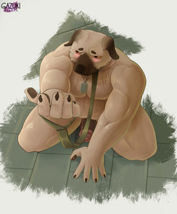 anthro bdsm belly blush blush_lines claws collar ears_down erection fur genitals glans humanoid_genitalia humanoid_penis kneeling leash looking_at_viewer male military musclegut muscular muscular_anthro muscular_male nude penis petplay pivoted_ears roleplay simple_background solo submissive vein veiny_penis walkies gazuki canid canine canis domestic_dog herding_dog mammal pastoral_dog absurd_res digital_media_(artwork) hi_res