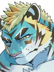 anthro blonde_hair blue_body blue_fur clothed clothing collarbone eyebrows fur green_eyes hair male muscular muscular_anthro muscular_male solo striped_body striped_fur stripes thick_eyebrows topless aoi_tachi0 lifewonders live_a_hero rexer felid mammal pantherine tiger 3:4 hi_res