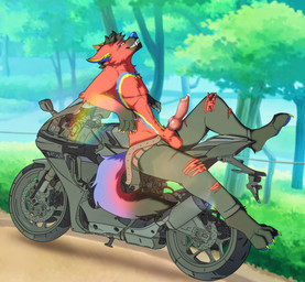 anatomically_correct anatomically_correct_genitalia animal_genitalia animal_penis anthro balls belt blue_eyes bodily_fluids canine_genitalia canine_penis claws clothing detailed_background erection feet fingers fur genital_fluids genitals knot looking_at_viewer male male/male motorcycle nude open_belt outside park penile penis plant precum presenting public sheath smile solo tail teeth toes torn_clothing tree vehicle mistyo winterfolf canid canine canis fox hybrid mammal wolf absurd_res hi_res