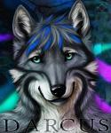 anthro biped blue_eyes detailed_fur fur hair looking_at_viewer male pose smile solo standing cedarwolf darcus canid canine canis mammal wolf 2013 5:6 detailed icon