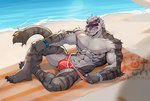 abs anklet anthro barbell_piercing beach beach_towel beard biceps blue_wristband bulge claws clothed clothing countershade_torso countershading digit_ring ear_piercing ear_ring eyewear facial_hair feet finger_claws fur grey_body grey_fur hair jewelry looking_at_viewer lying male muscular muscular_anthro muscular_male nipple_barbell nipple_piercing nipples obliques on_ground on_side on_towel pecs piercing purple_eyewear purple_sunglasses red_clothing red_speedo red_swimwear ring ring_(jewelry) ring_piercing sand serratus smile solo speedo speedo_only striped_body striped_fur stripes sunglasses swimwear toe_claws toe_ring toes topless towel water white_hair wristband diana24697160 alvintanubis reyes_(alvintanubis) felid mammal pantherine tiger 2024 artist_name dated hi_res watermark