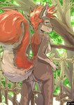 2020 anthro breasts captaincob female fur genitals hair hi_res looking_at_viewer looking_back mammal nude plant pussy rodent sciurid solo tree tree_squirrel
