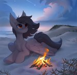 beach campfire chest_tuft cloud detailed_background eyebrow_through_hair eyebrows eyelashes feathered_wings feathers female feral fire fur grey_body grey_feathers grey_fur hair hooves inner_ear_fluff lying on_front orange_eyes outside sea seaside shooting_star sky smile solo star starry_sky sunset translucent translucent_hair tuft underhoof using_wings water wing_hug wings tomatocoup hasbro my_little_pony mythology fan_character equid equine mammal mythological_creature mythological_equine pegasus reptile scalie sea_turtle turtle absurd_res digital_media_(artwork) hi_res