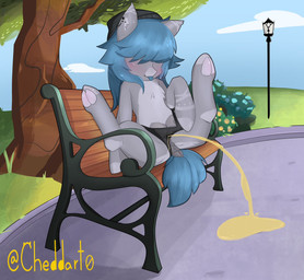 bench black_clothing black_hat black_headwear black_panties black_underwear blue_hair blue_tail blue_tongue blush bodily_fluids clothing cloud countershade_torso countershading day dock_(anatomy) female female_feral feral genital_fluids grey_body hair hair_over_eyes hat headgear headwear panties peeing peeing_outside plant public sky solo spread_legs spreading tail teats text tongue tongue_out tree underwear urine urine_pool watersports young young_female young_feral cheddart hasbro my_little_pony equid equine mammal 2024 artist_name digital_media_(artwork) english_description hi_res shaded
