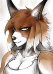 anthro breasts cleavage clothed clothing collarbone female fur looking_at_viewer solo topwear white_body white_breasts white_fur gouman feda:_the_emblem_of_justice dora_systeel canid canine fox mammal 2021 hi_res