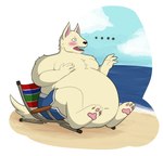 4_fingers 4_toes anthro beach beach_chair belly bent_arm bent_legs big_belly black_nose blue_clothing blue_sky blue_swimming_trunks blue_swimwear blush broken_chair brown_eyes clothing cloud day ellipsis embarrassed fangs feet fingers fluffy fluffy_tail fur male male_anthro moobs no_pupils obese obese_anthro obese_male open_mouth outside overweight overweight_anthro overweight_male pawpads pink_inner_ear pink_pawpads red_tongue sea seaside sitting sky solo swimming_trunks swimwear tail teeth thick_thighs toes tongue water white_body white_fur white_tail theannoyingnpc unnamed_canine_(theannoyingnpc) canid canine mammal 2017 colored digital_drawing_(artwork) digital_media_(artwork) hi_res shaded simple_shading