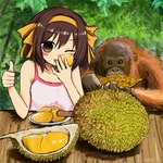 ambiguous_gender clothed clothing detailed_food displacement duo durian eating female feral food fruit gesture hand_gesture plant thumbs_up what bubbacterial the_melancholy_of_haruhi_suzumiya haruhi_suzumiya ape haplorhine human mammal orangutan primate 1:1 detailed hi_res