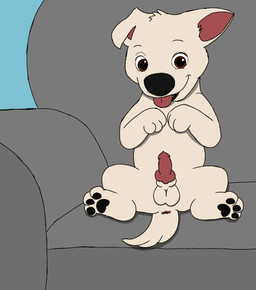 anatomically_correct anatomically_correct_genitalia anatomically_correct_penis animal_genitalia animal_penis anus balls canine_genitalia canine_penis erection feral fur furniture genitals knot male penis quadruped sofa solo spread_legs spreading white_body white_fur young young_feral young_male unclejock bolt_(film) disney bolt_(bolt) canid canine canis domestic_dog german_shepherd herding_dog mammal pastoral_dog hi_res