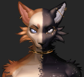 anthro arm_tuft barbell_piercing black_background black_body black_eyebrows black_fur black_nose blue_eyes brown_body brown_fur chin_piercing collar collar_tag ear_piercing ear_ring eyebrows front_view fur furrowed_eyebrows gold_(metal) gold_collar gold_ear_ring light looking_at_viewer male male_anthro metal_collar mouth_closed multicolored_body multicolored_fur pecs piercing pink_inner_ear pupils ring_piercing shoulder_tuft simple_background slit_pupils solo text tuft white_body white_fur angellumen felid feline mammal 2023 artist_name bust_portrait colored digital_drawing_(artwork) digital_media_(artwork) english_description english_text hi_res lighting portrait shaded male_(lore)