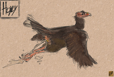 4_toes ambiguous_anthro ambiguous_gender animal_genitalia anthro aroused ass_up beak biped bird_feces bodily_fluids brown_body brown_feathers brown_thighs brown_wings butt butt_focus claws cloaca digitigrade dripping facial_piercing feather_markings feathered_wings feathers feces feces_on_body feces_on_ground feces_on_leg feet feral genital_fluids genital_piercing genitals logo long_tail looking_back lying markings monotone_body monotone_feathers monotone_feet monotone_thighs monotone_wings nose_piercing on_ground paws peeing piercing pink_feet pink_paws pooping precum precum_drip presenting presenting_cloaca presenting_hindquarters raised_tail rear_view ring_piercing scatplay simple_background solo tail text textured_background three-quarter_view toe_claws toes urate urine urine_on_body urine_on_ground urine_on_leg urine_stream watersports wing_markings wings hdyly bear_(garagesystem) accipitriform avian bird new_world_vulture turkey_vulture vulture 2025 artist_logo artist_name colored_sketch digital_drawing_(artwork) digital_media_(artwork) hi_res signature sketch male_(lore)